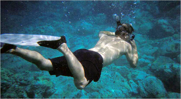 Best Snorkeling Spot in Maui, Maui Tours